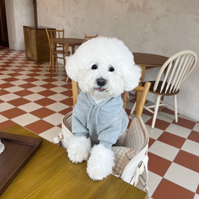 Winter Clothing Boys - Buchstaben-Hoodie Haustierkleidung Hunde Mode Baumwolle Hundekleidung