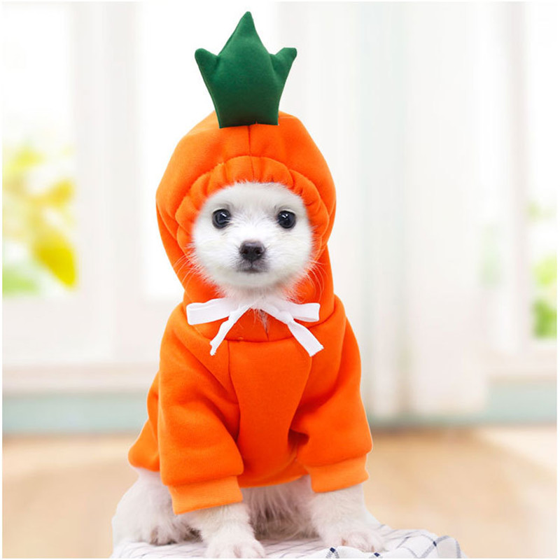 Winter Clothing Pictures - Niedliche Obst-Hundekleidung für kleine Hunde, Kapuzenpullover,