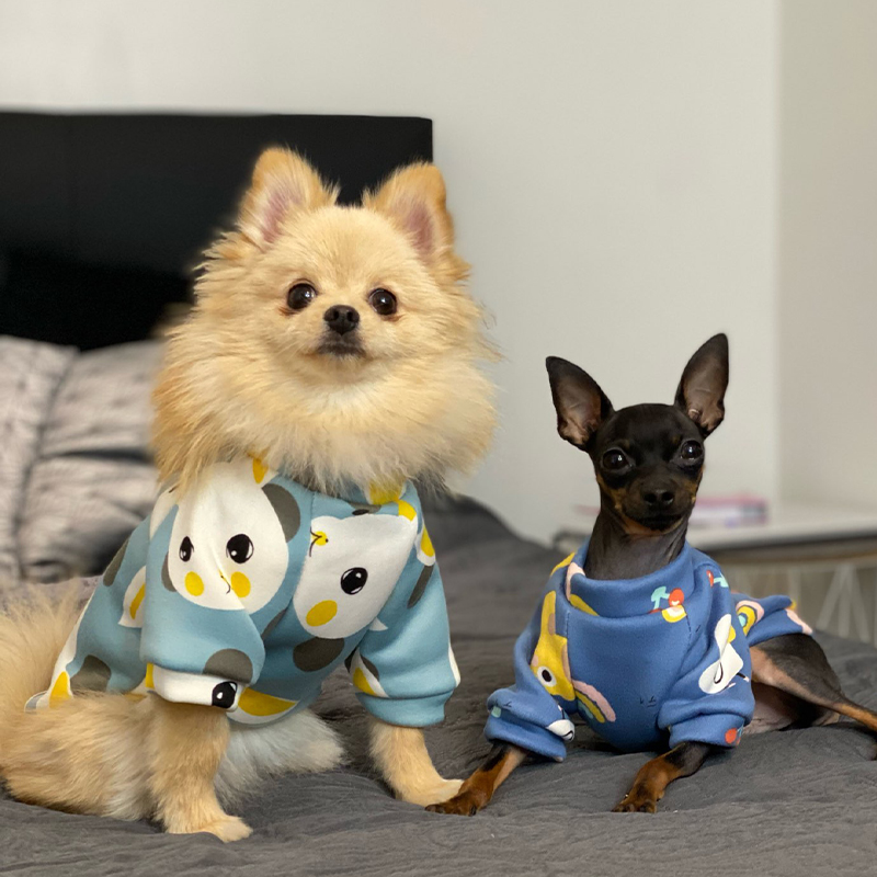 Xs Hundekleidung für kleine Hu – Winter Clothing Boys Bewertung und Preis