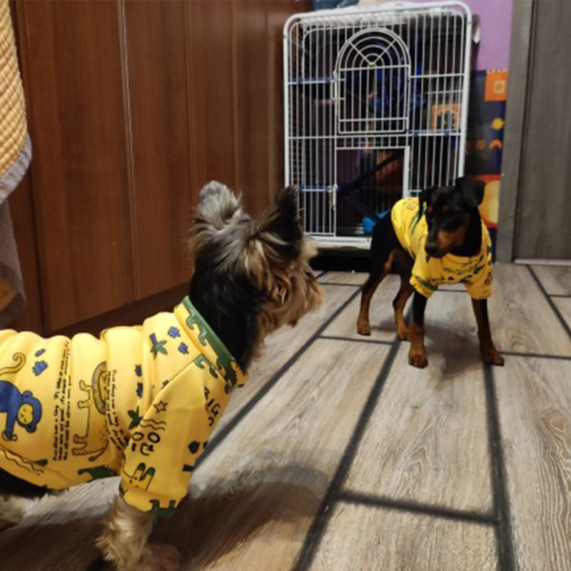 Xs Hundekleidung für kleine Hu – Winter Clothing Boys Bewertung und Preis